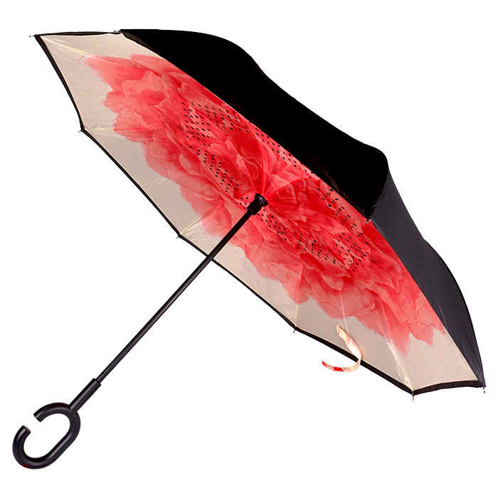 Printed Reversible Umbrella